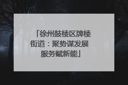 徐州鼓楼区牌楼街道：聚势谋发展 服务赋新能