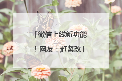 微信上线新功能！网友：赶紧改