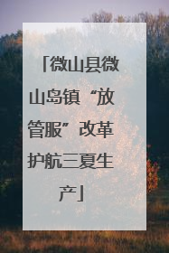 微山县微山岛镇“放管服”改革护航三夏生产