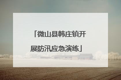 微山县韩庄镇开展防汛应急演练