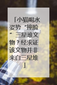小猫喝水姿势“撞脸”三星堆文物？经求证该文物并非来自三星堆