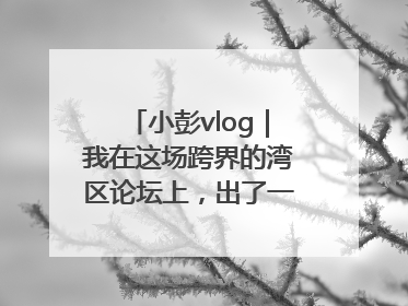 小彭vlog｜我在这场跨界的湾区论坛上，出了一道高考题……