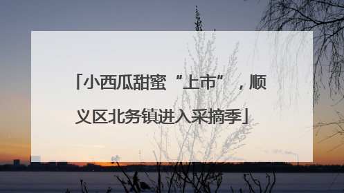 小西瓜甜蜜“上市”，顺义区北务镇进入采摘季