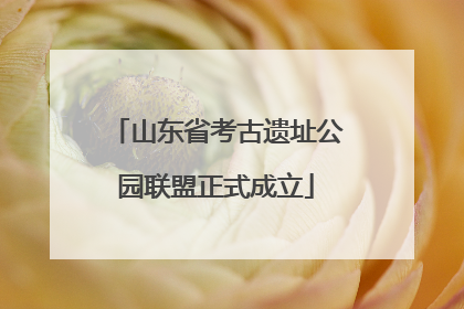 山东省考古遗址公园联盟正式成立