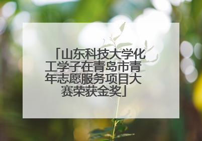山东科技大学化工学子在青岛市青年志愿服务项目大赛荣获金奖