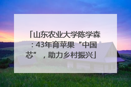 山东农业大学陈学森：43年育苹果“中国芯”，助力乡村振兴
