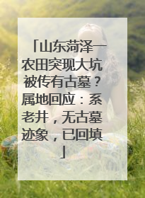 山东菏泽一农田突现大坑被传有古墓？属地回应：系老井，无古墓迹象，已回填
