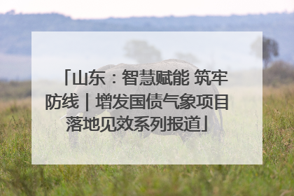 山东：智慧赋能 筑牢防线｜增发国债气象项目落地见效系列报道