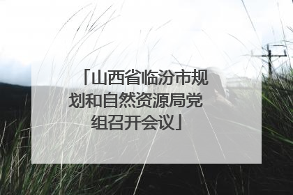 山西省临汾市规划和自然资源局党组召开会议