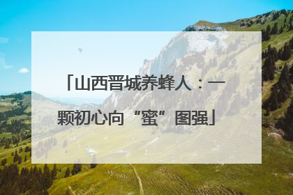 山西晋城养蜂人：一颗初心向“蜜”图强