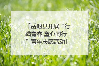 岳池县开展“行践青春 童心同行”青年志愿活动
