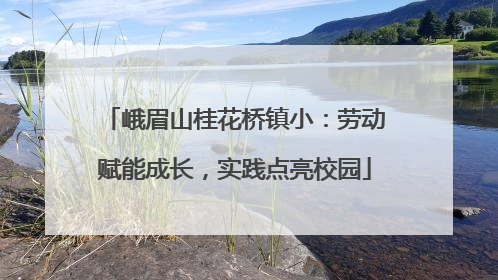 峨眉山桂花桥镇小：劳动赋能成长，实践点亮校园