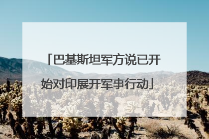 巴基斯坦军方说已开始对印展开军事行动
