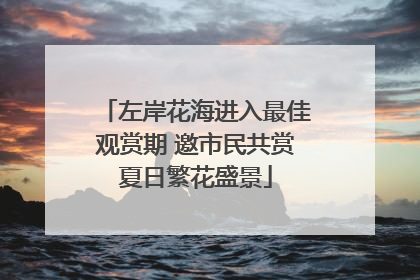 左岸花海进入最佳观赏期 邀市民共赏夏日繁花盛景