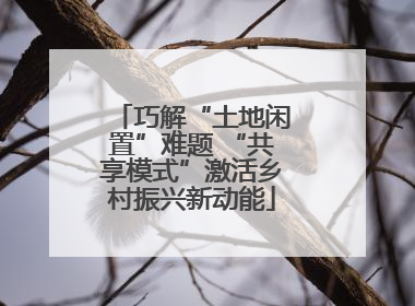 巧解“土地闲置”难题 “共享模式”激活乡村振兴新动能