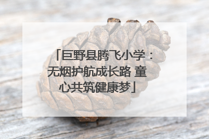 巨野县腾飞小学：无烟护航成长路 童心共筑健康梦