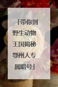 带你到野生动物王国揭秘鄂州人专属暗号