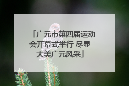 广元市第四届运动会开幕式举行 尽显大美广元风采