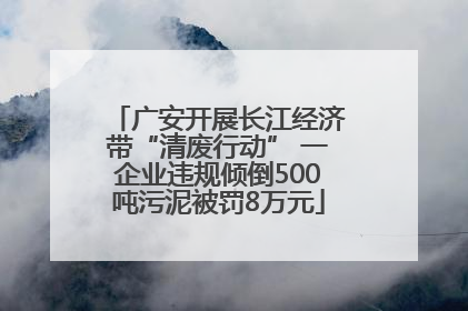 广安开展长江经济带“清废行动” 一企业违规倾倒500吨污泥被罚8万元