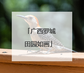 广西罗城田园如画