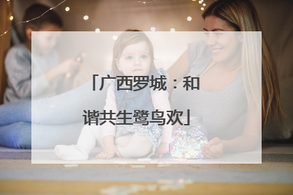 广西罗城：和谐共生鹭鸟欢