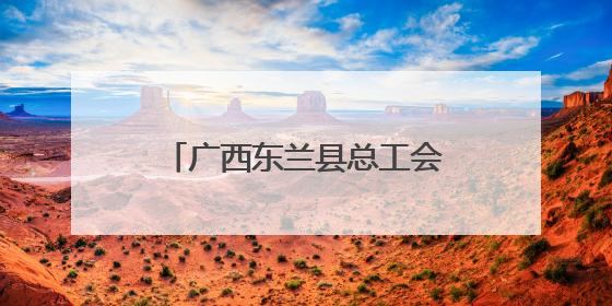 广西东兰县总工会情暖童心呵护成长