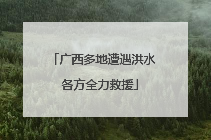 广西多地遭遇洪水 各方全力救援