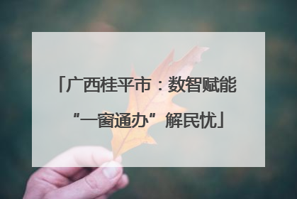 广西桂平市：数智赋能“一窗通办”解民忧