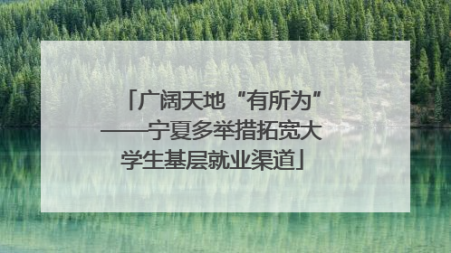 广阔天地“有所为”——宁夏多举措拓宽大学生基层就业渠道