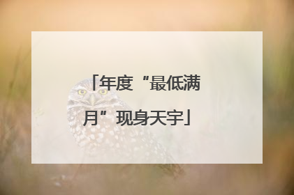 年度“最低满月”现身天宇