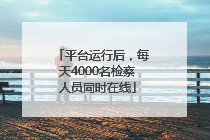 平台运行后，每天4000名检察人员同时在线