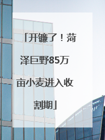 开镰了！菏泽巨野85万亩小麦进入收割期