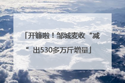 开镰啦！邹城麦收“减”出530多万斤增量