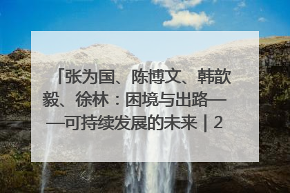张为国、陈博文、韩歆毅、徐林：困境与出路——可持续发展的未来｜2025IFCII