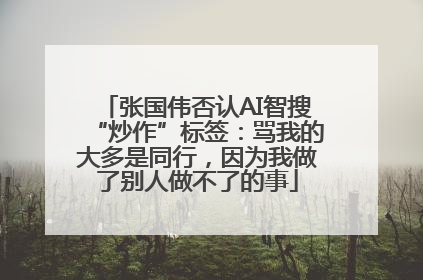 张国伟否认AI智搜“炒作”标签：骂我的大多是同行，因为我做了别人做不了的事