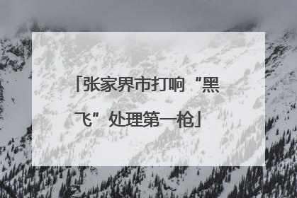 张家界市打响“黑飞”处理第一枪
