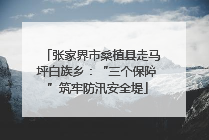 张家界市桑植县走马坪白族乡：“三个保障”筑牢防汛安全堤