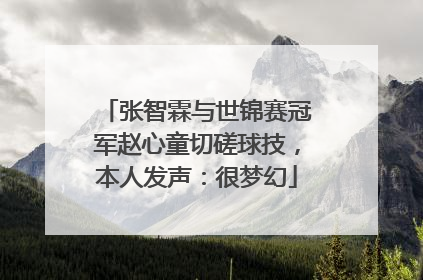 张智霖与世锦赛冠军赵心童切磋球技，本人发声：很梦幻