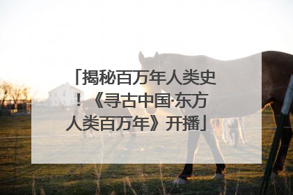 揭秘百万年人类史！《寻古中国·东方人类百万年》开播