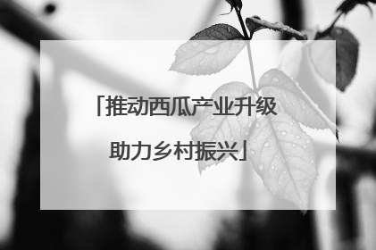 推动西瓜产业升级 助力乡村振兴