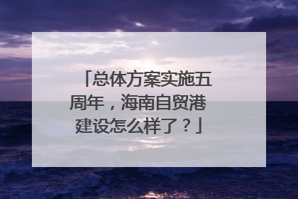 总体方案实施五周年，海南自贸港建设怎么样了？