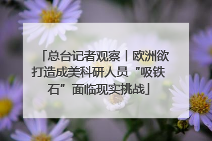 总台记者观察丨欧洲欲打造成美科研人员“吸铁石”面临现实挑战