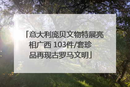 意大利庞贝文物特展亮相广西 103件/套珍品再现古罗马文明