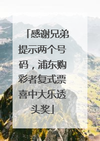 感谢兄弟提示两个号码，浦东购彩者复式票喜中大乐透头奖
