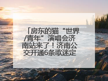 房东的猫“世界/青年”演唱会济南站来了！济南公交开通6条歌迷定制专线
