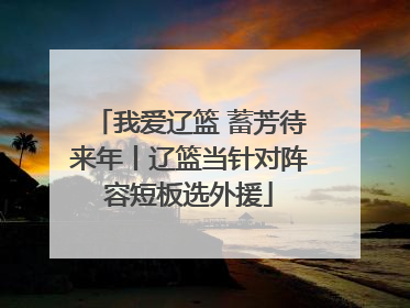 我爱辽篮 蓄芳待来年丨辽篮当针对阵容短板选外援