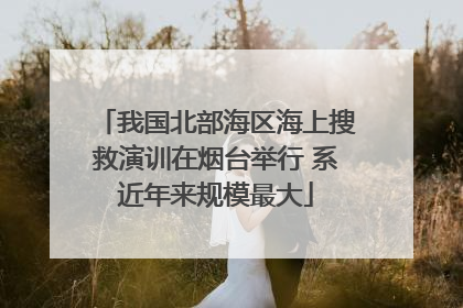 我国北部海区海上搜救演训在烟台举行 系近年来规模最大