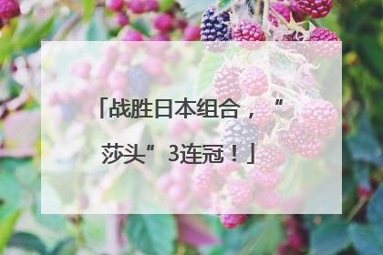 战胜日本组合，“莎头”3连冠！