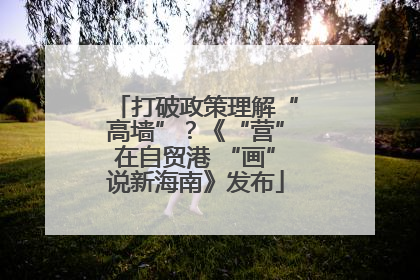 打破政策理解“高墙”？《“营”在自贸港 “画”说新海南》发布