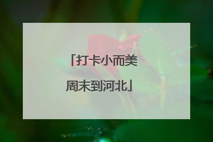 打卡小而美 周末到河北